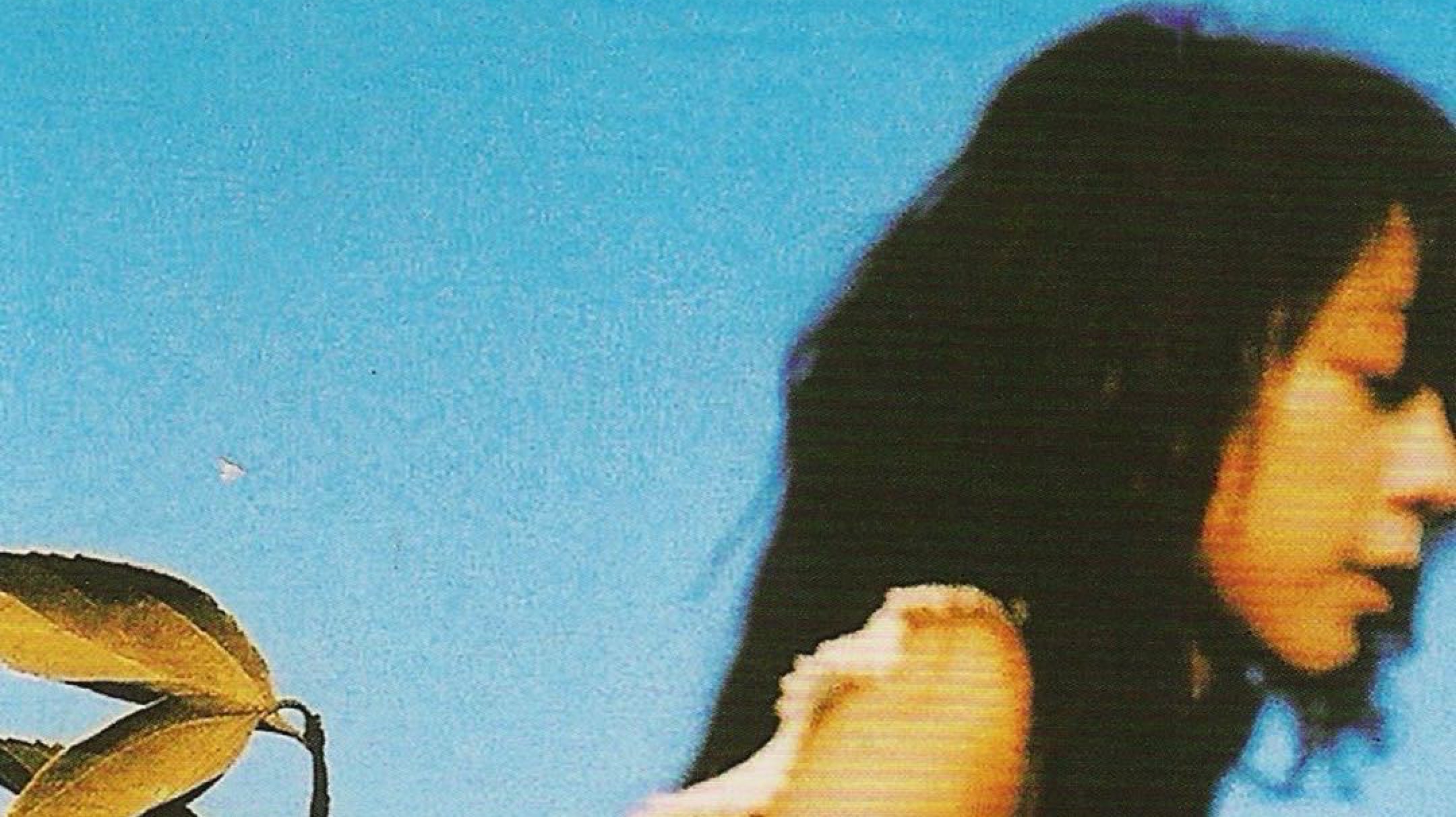 【2024-3-15 0点场】银杏小番茄:浅玩一下ADC