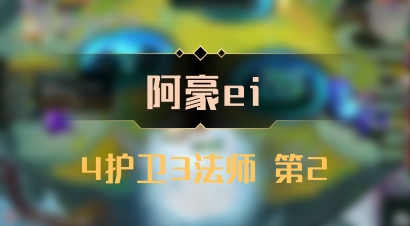 【阿豪ei】4护卫3法师 第2