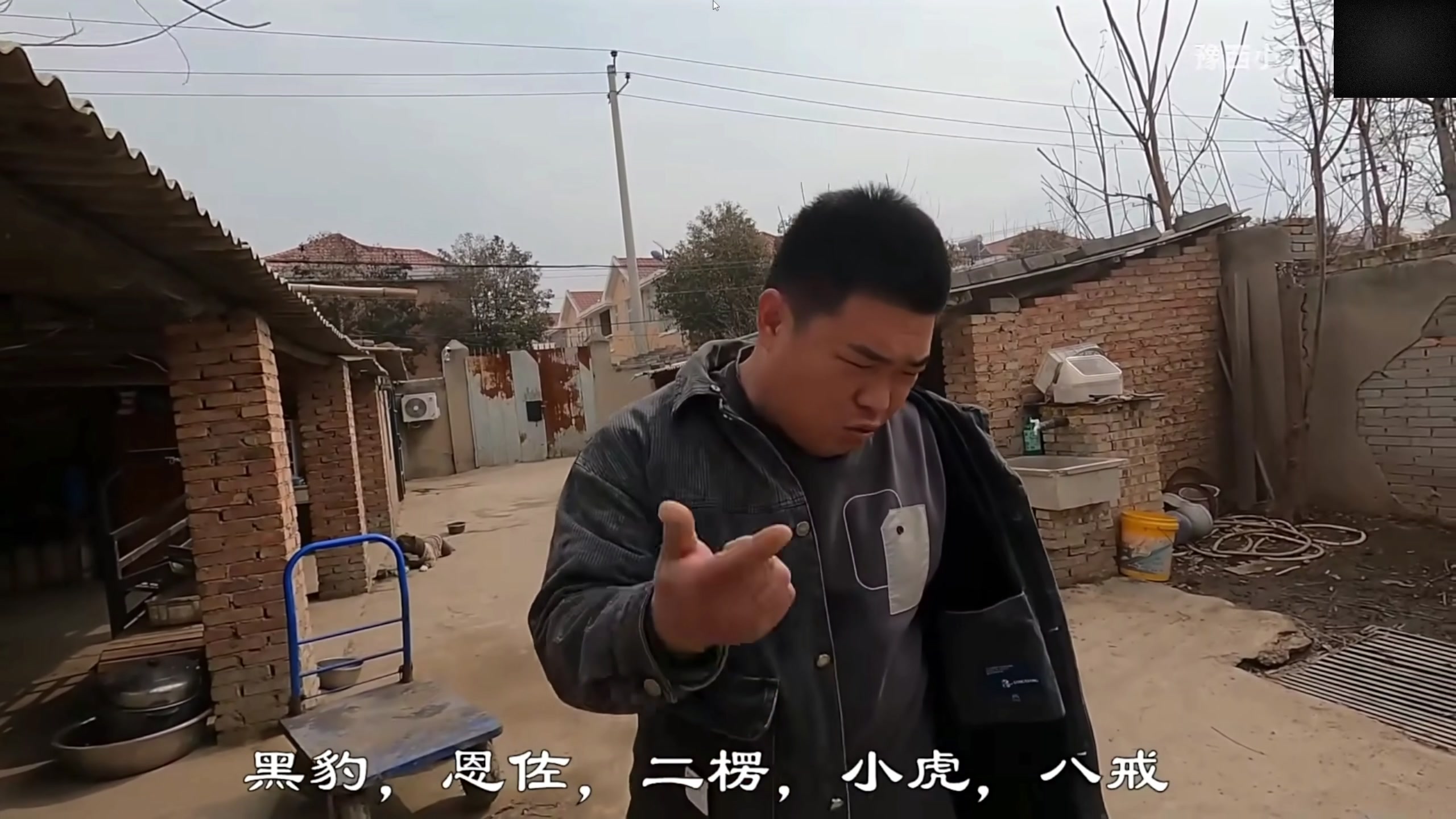 【2024-03-20 12点场】尐表哥：老表：玩着呢！