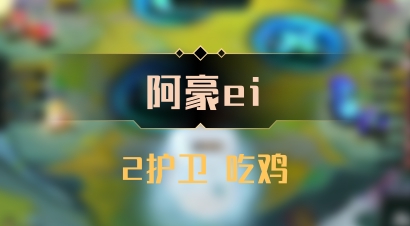 【阿豪ei】2护卫 吃鸡