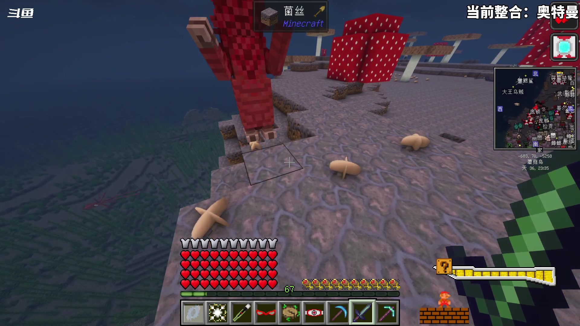 【2024-03-21 19点场】隐者丶丶：【小蜜蜂】努力直播 好好直播