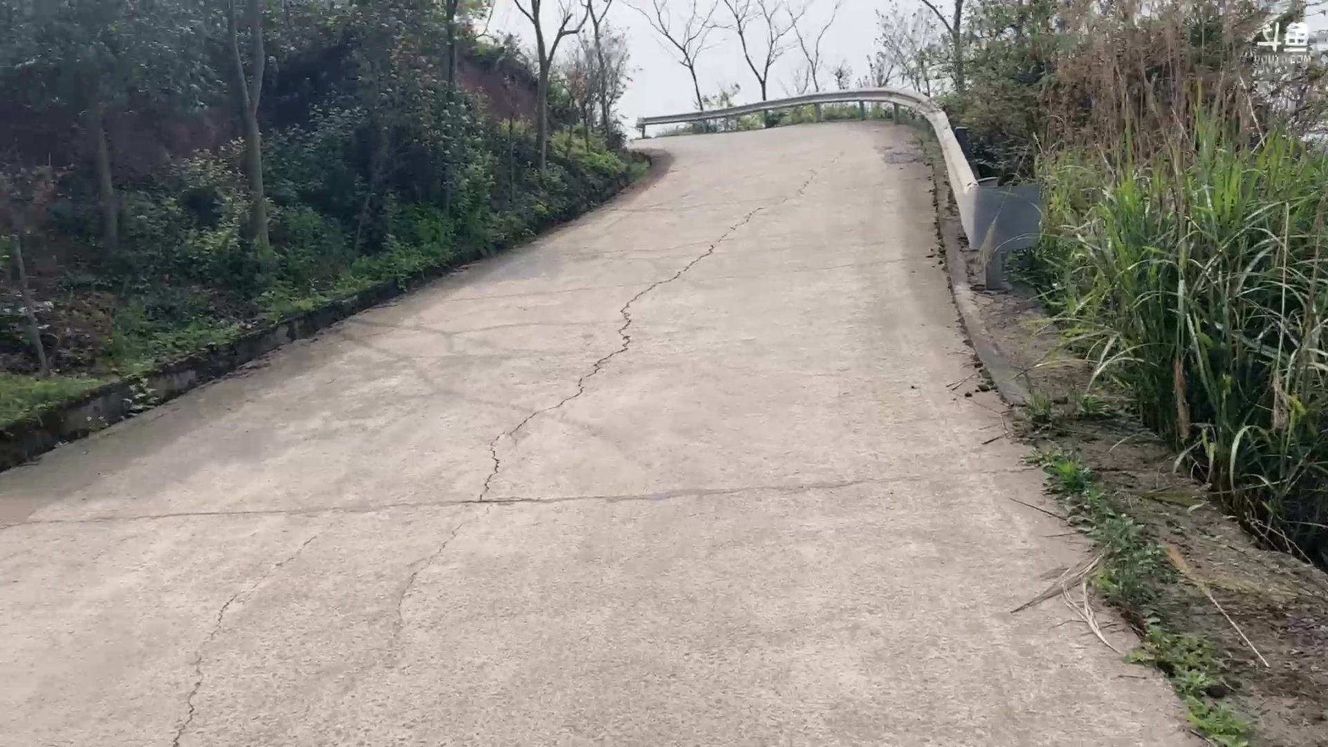 【2024-03-22 10点场】Tony托公子：这里的空气很清新！
