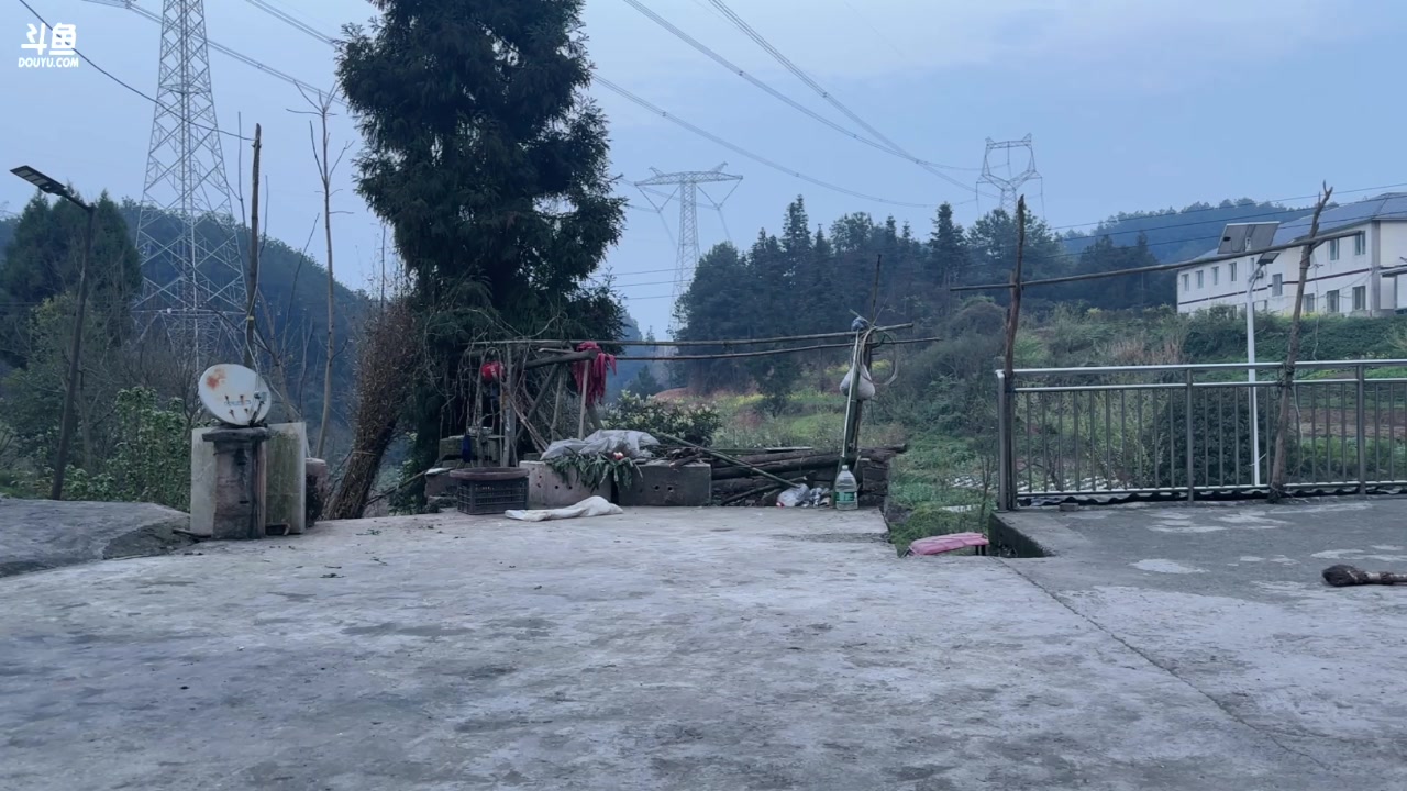 【2024-03-22 18点场】Tony托公子：这里的空气很清新！