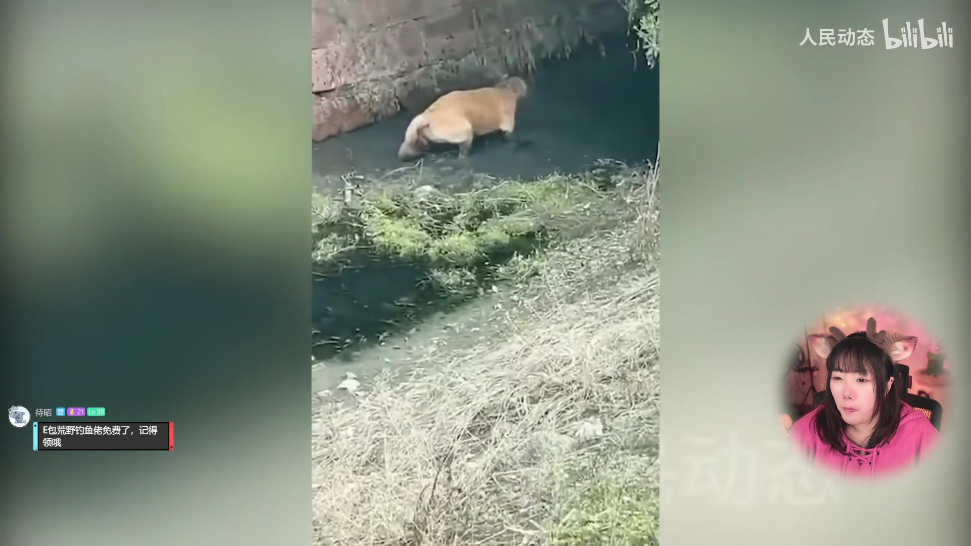 【2024-03-22 18点场】甜心战士：吃完饭玩魔女与概念之瓶