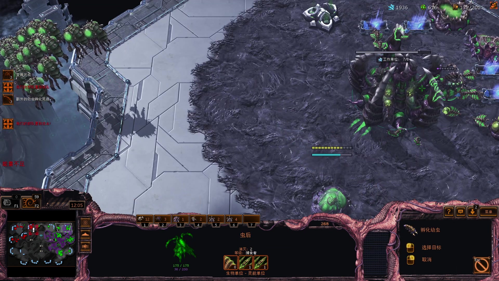 【2024-03-22 20点场】scboy：Starswar 11 欧洲区淘汰赛