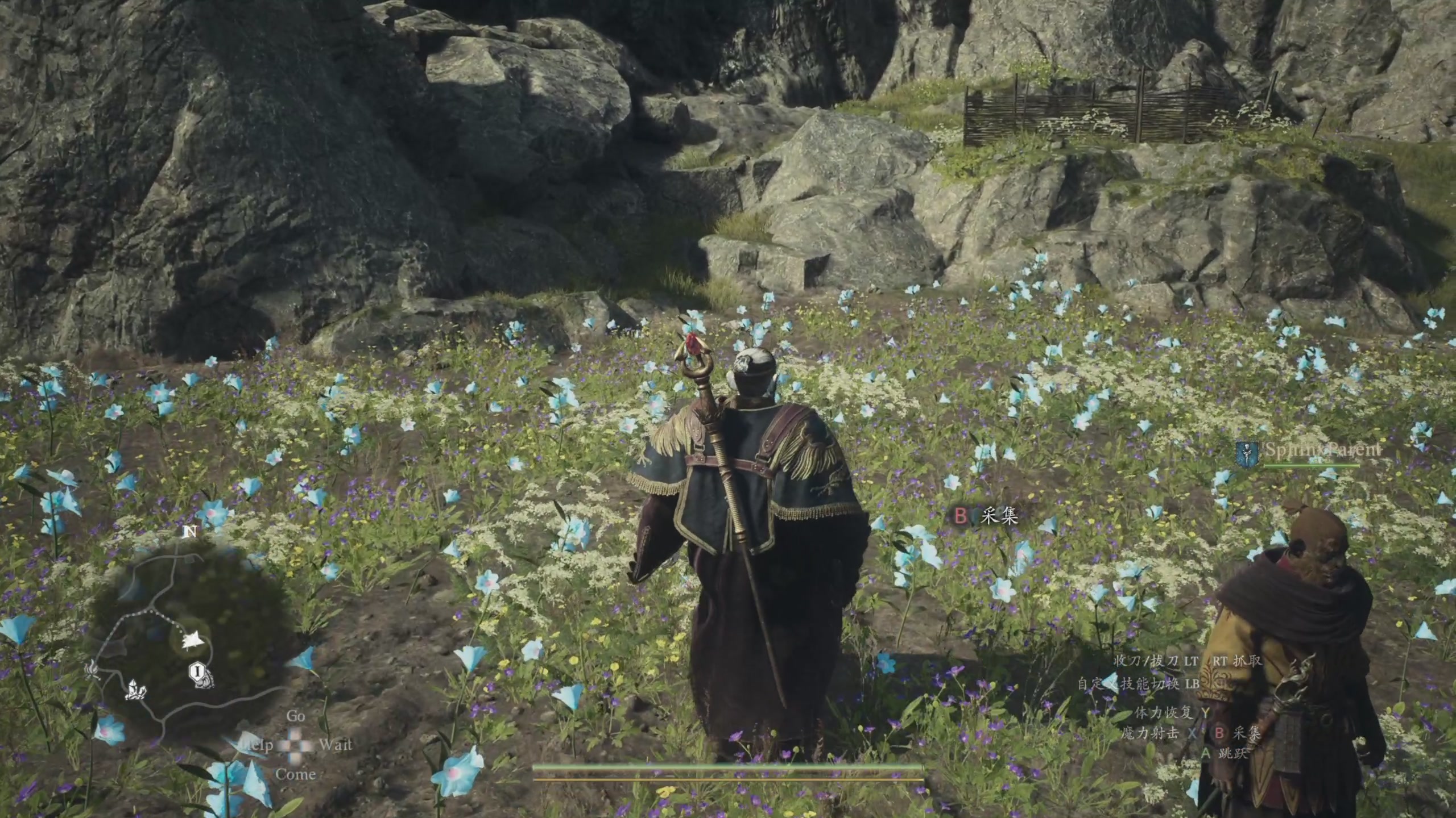 【2024-03-24 19点场】尐表哥：老表：玩着呢！