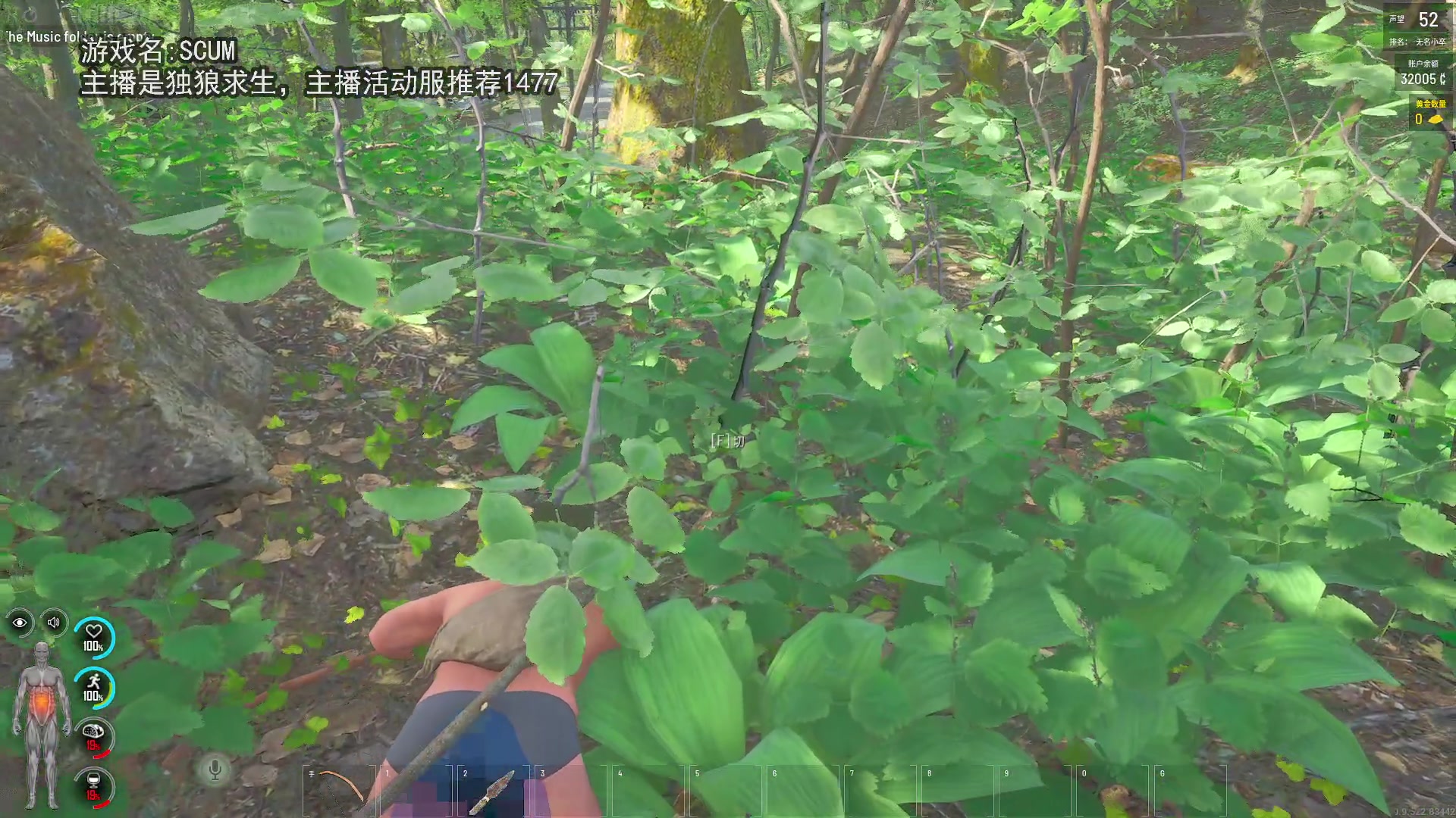 【2024-03-24 20点场】巴格拉斯：热爱生活，走进巴叔