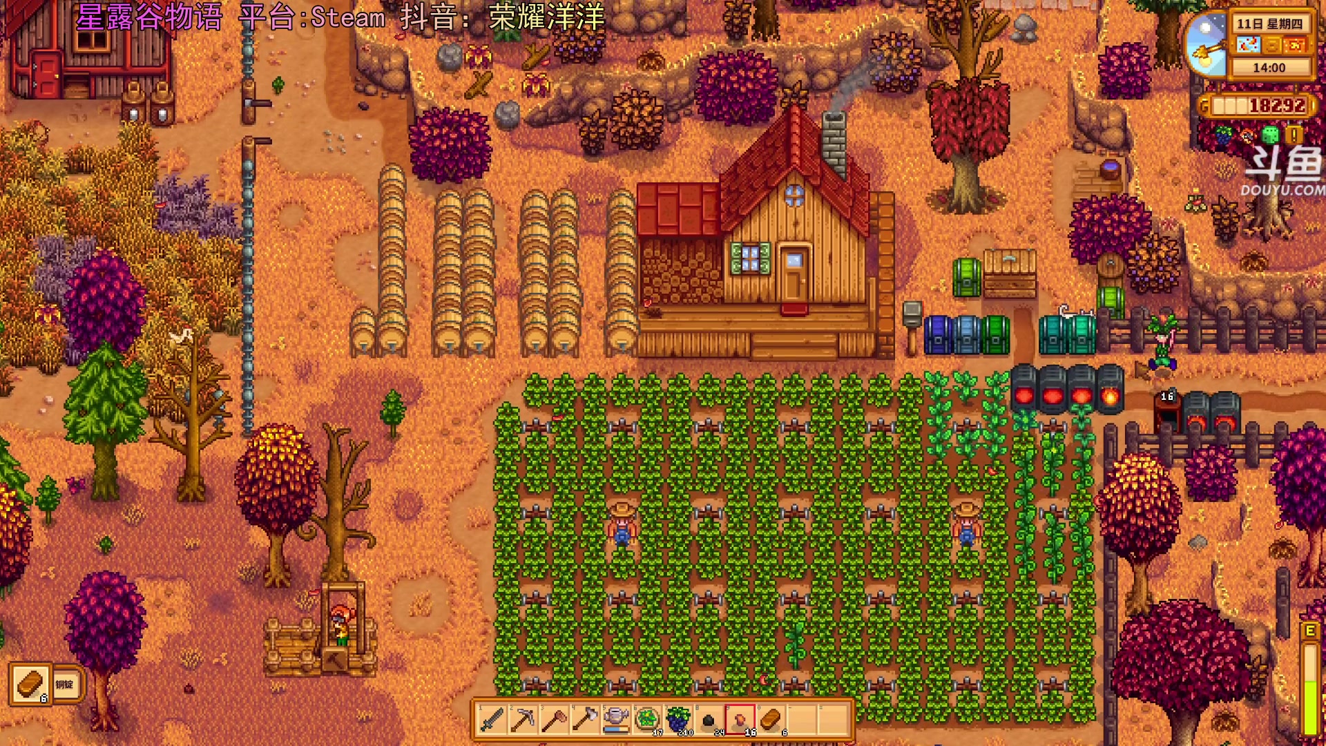 【2024-03-24 21点场】荣耀洋洋：【洋洋】小众，独立，单机游戏！