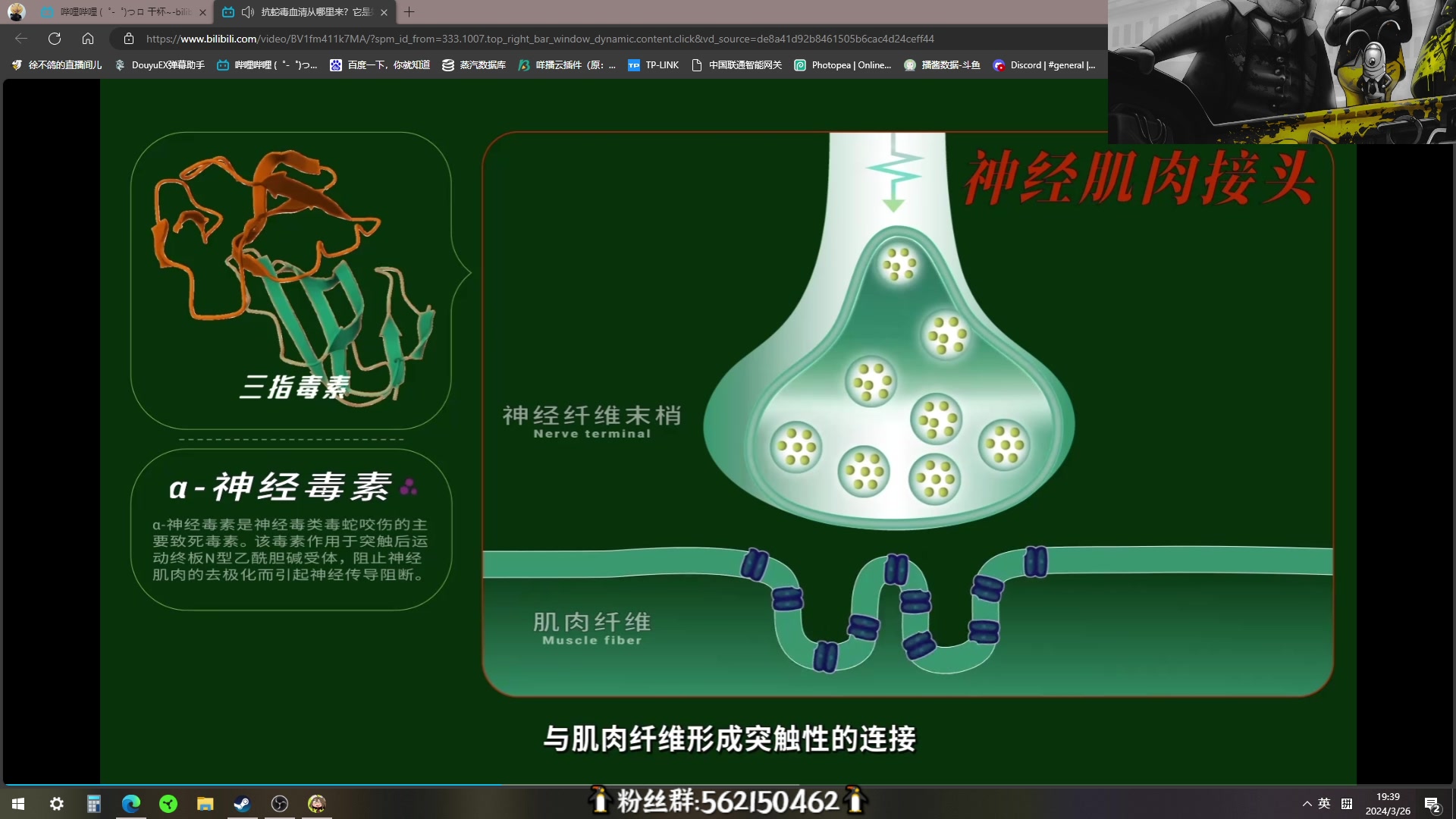 【2024-03-26 19点场】徐不鸽：✌进来享福✌