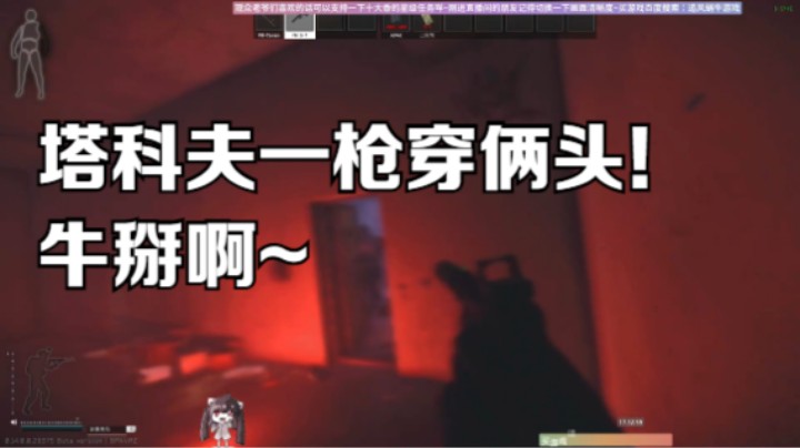 塔科夫一枪穿俩头！牛掰啊~