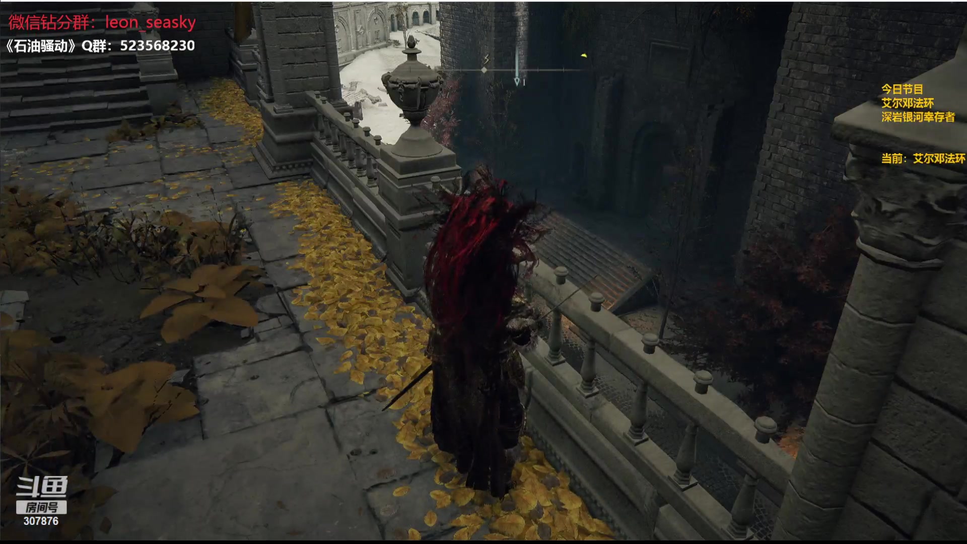 【2024-04-08 18点场】夏一可死毒舌_：喵：喵天才上线！