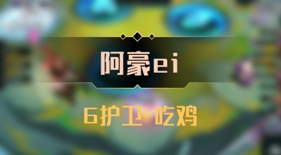 【阿豪ei】6护卫 吃鸡