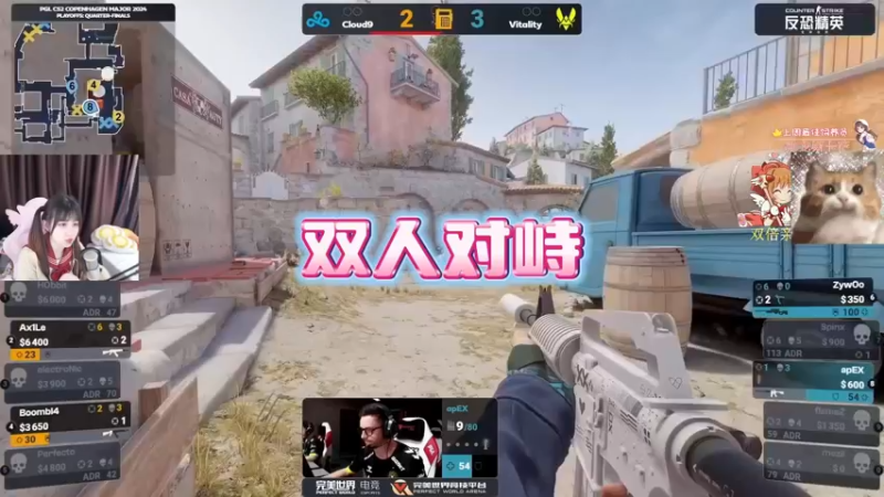 【小樱】胖球和载物的名场面，双人尴尬对峙