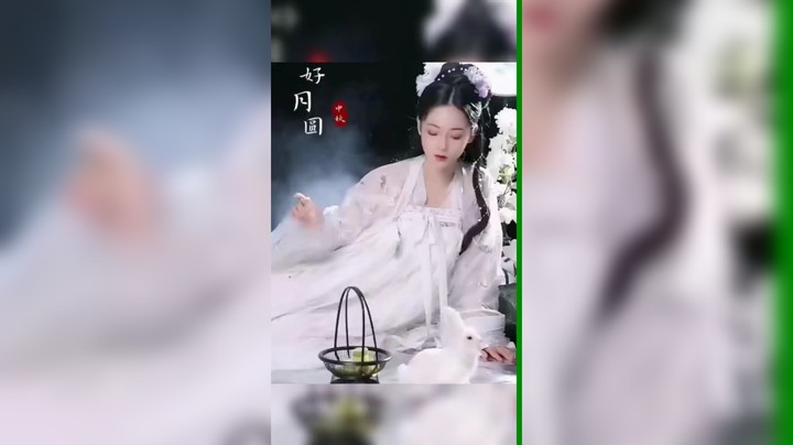 美补