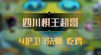 【四川棋王超哥】4护卫3法师 吃鸡