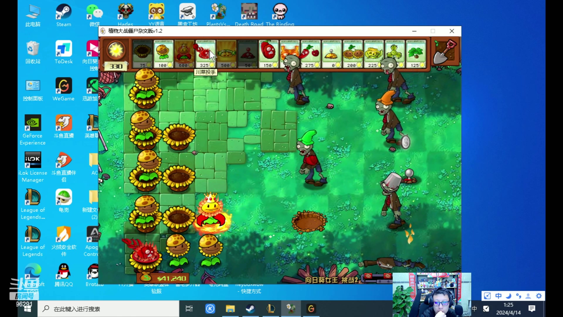 【2024-04-14 00点场】东北大鹌鹑：东北大鹌鹑 恐怖如斯！！