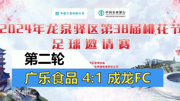 【集锦】2024年龙泉驿桃花节足球邀请赛 小组赛第二轮 广乐食品 VS 成龙FC