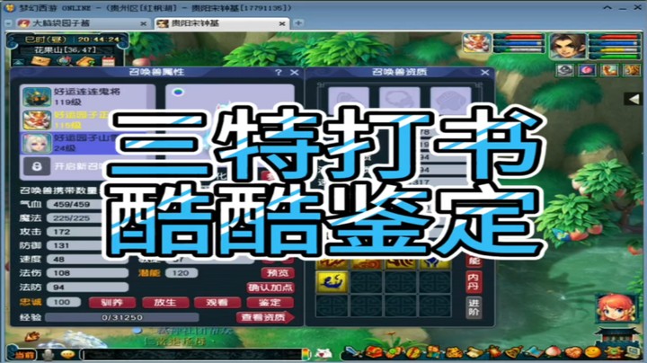 梦幻西游三特打书酷酷鉴定