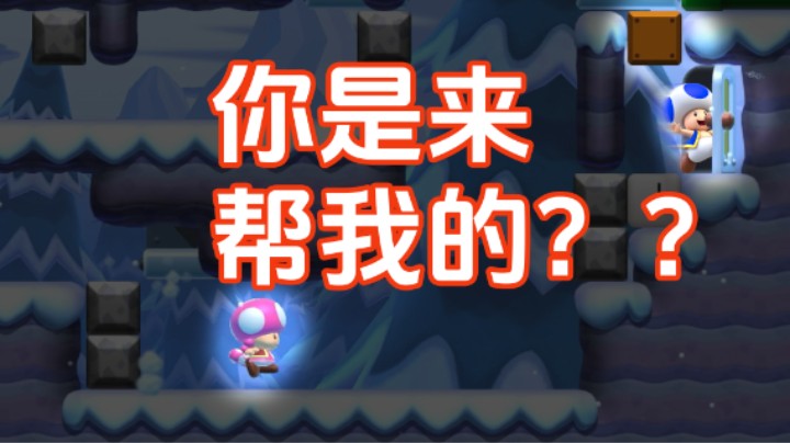 【白胖打工记】362 期 - 大聪明的迷惑行为