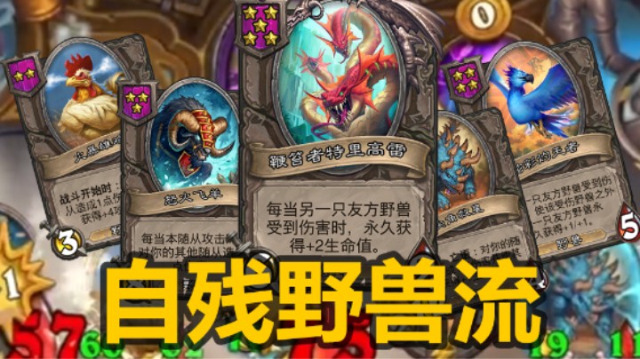 【涛妹】快速了解新阵容：自残野兽流