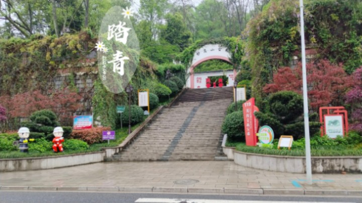 【春季的日常vlog】春季小雨中的遂昌县城里的妙高山公园