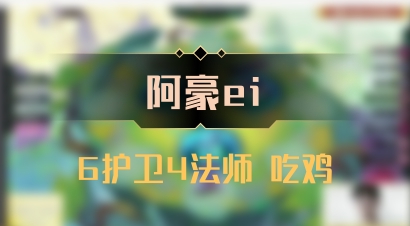 【阿豪ei】6护卫4法师 吃鸡