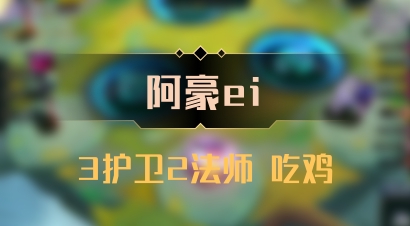 【阿豪ei】3护卫2法师 吃鸡