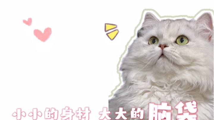 【2024-4-27 20点场】浩儿h:什么操作都会一点