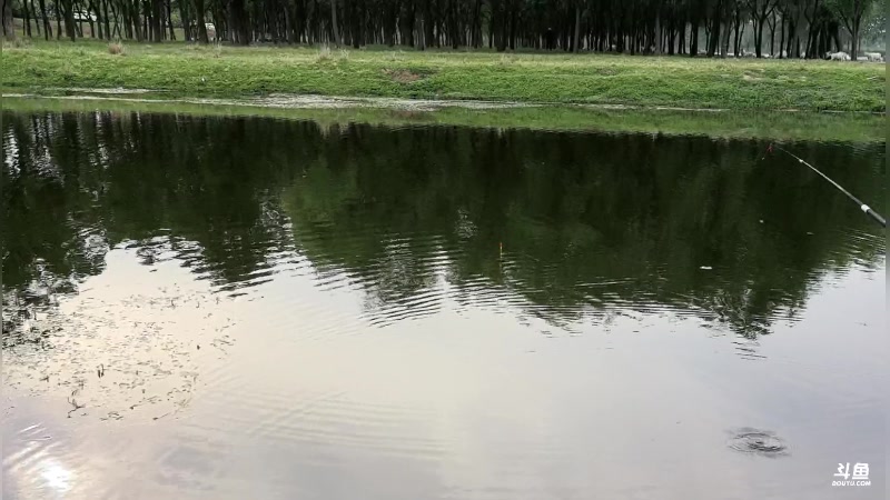 【2024-04-30 16点场】雨神丶：5.1号鬼斧见！