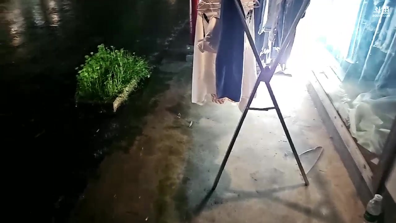 【2024-04-29 22点场】火力堂主：《小猪筷跑》长沙团播！