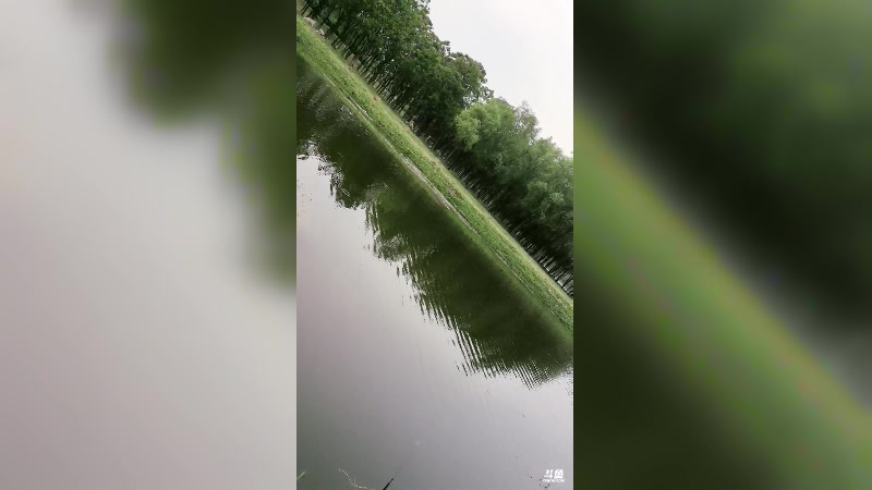 【2024-04-30 16点场】雨神丶：5.1号鬼斧见！