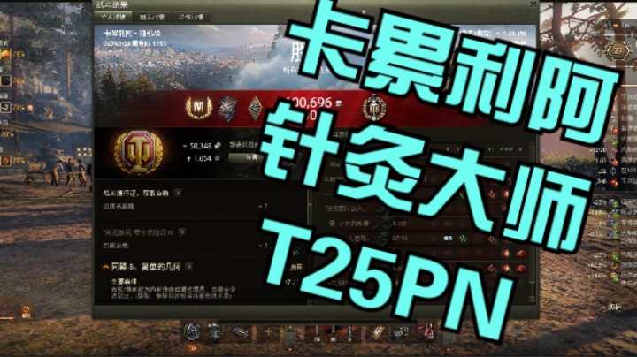 幽靈：252：针灸大师T25PN卡累利阿获勇士#坦克世界