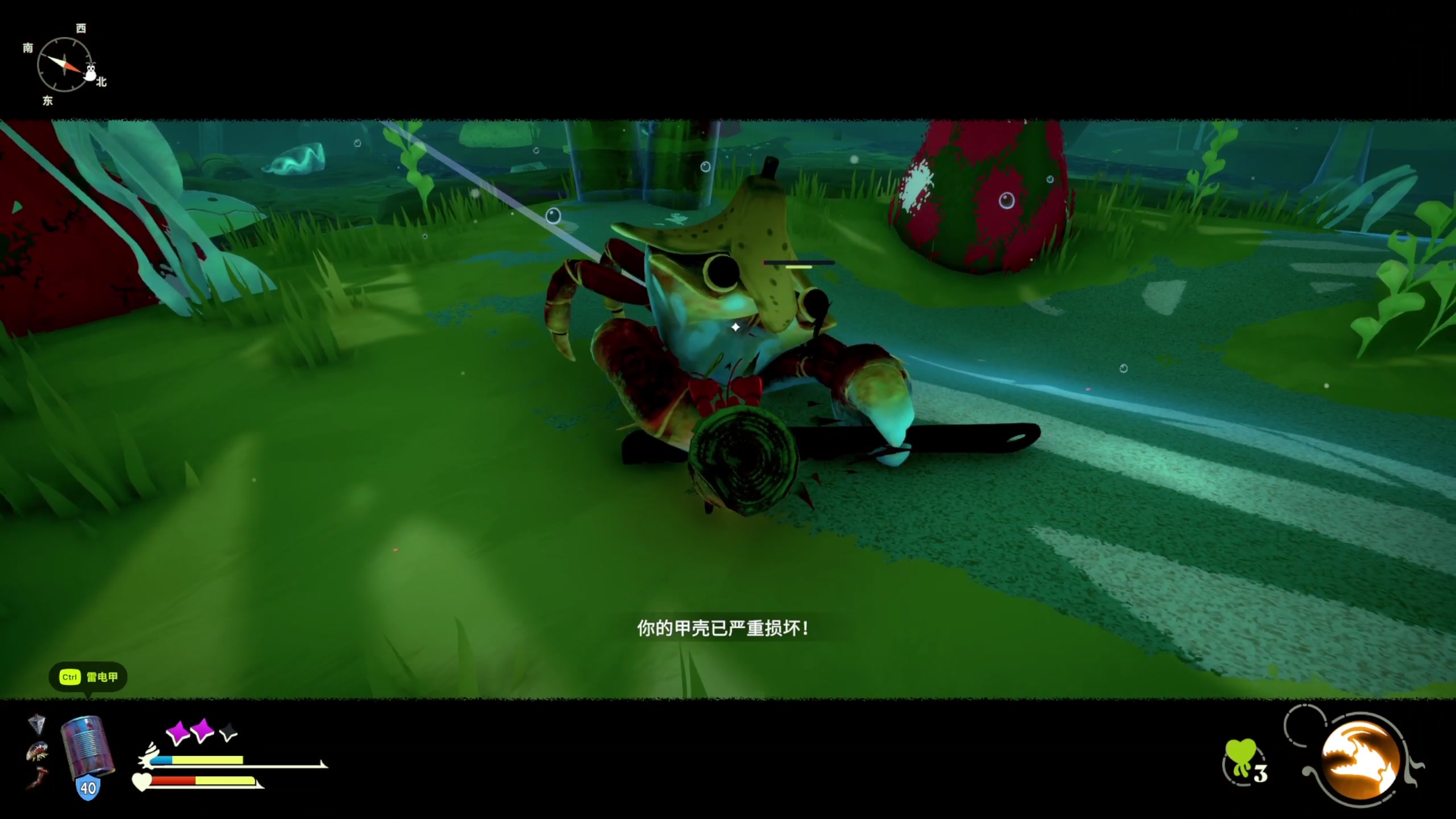 【2024-05-02 10点场】尐表哥：直播啦！！ 217331