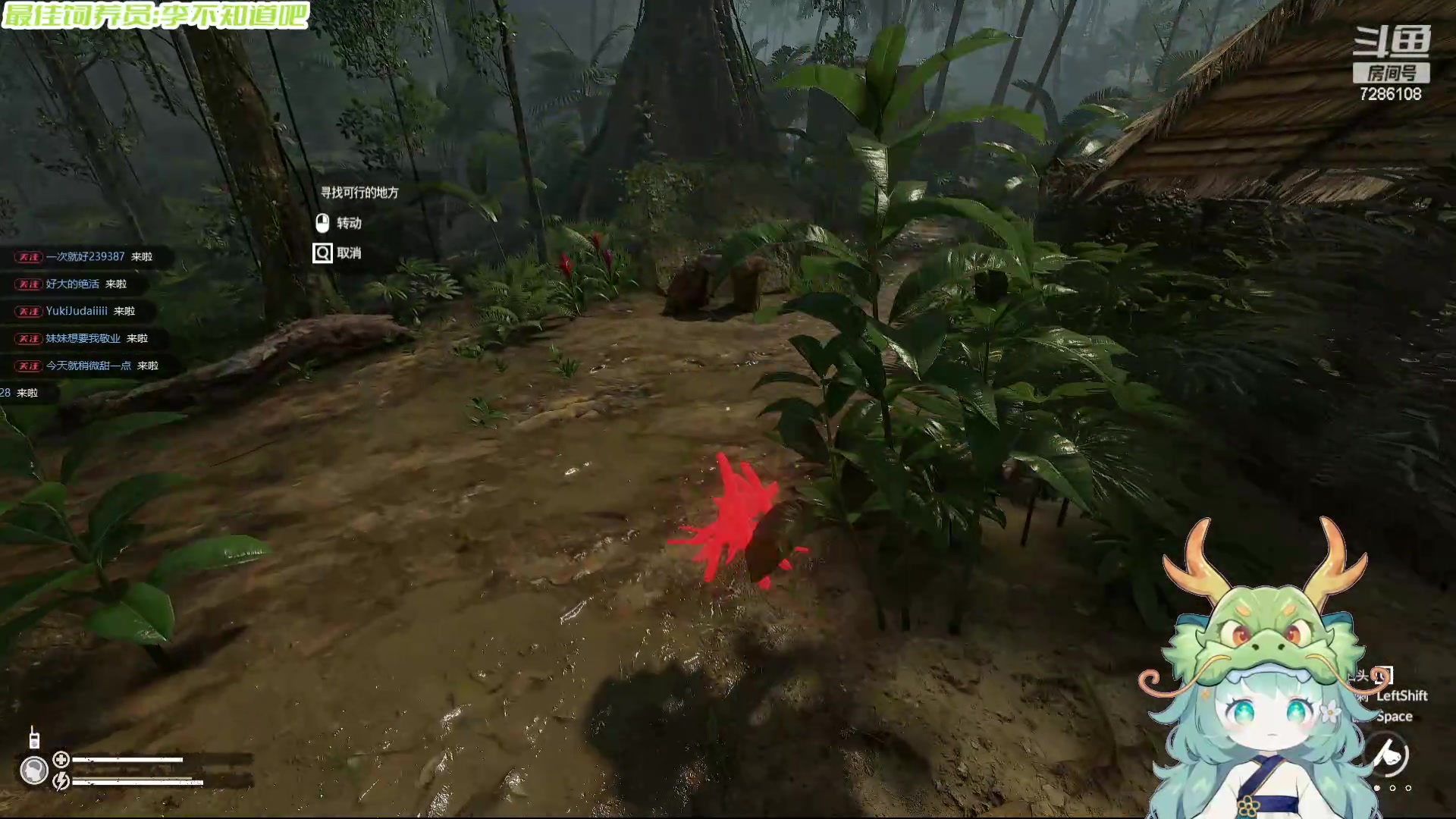 【2024-05-02 23点场】一只猛龙丶：挑战当技术主播的第一天~