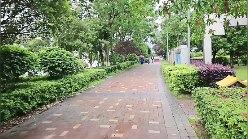 【2024-05-04 17点场】别问问就黑皮：恭喜我6宝50级粉丝牌~