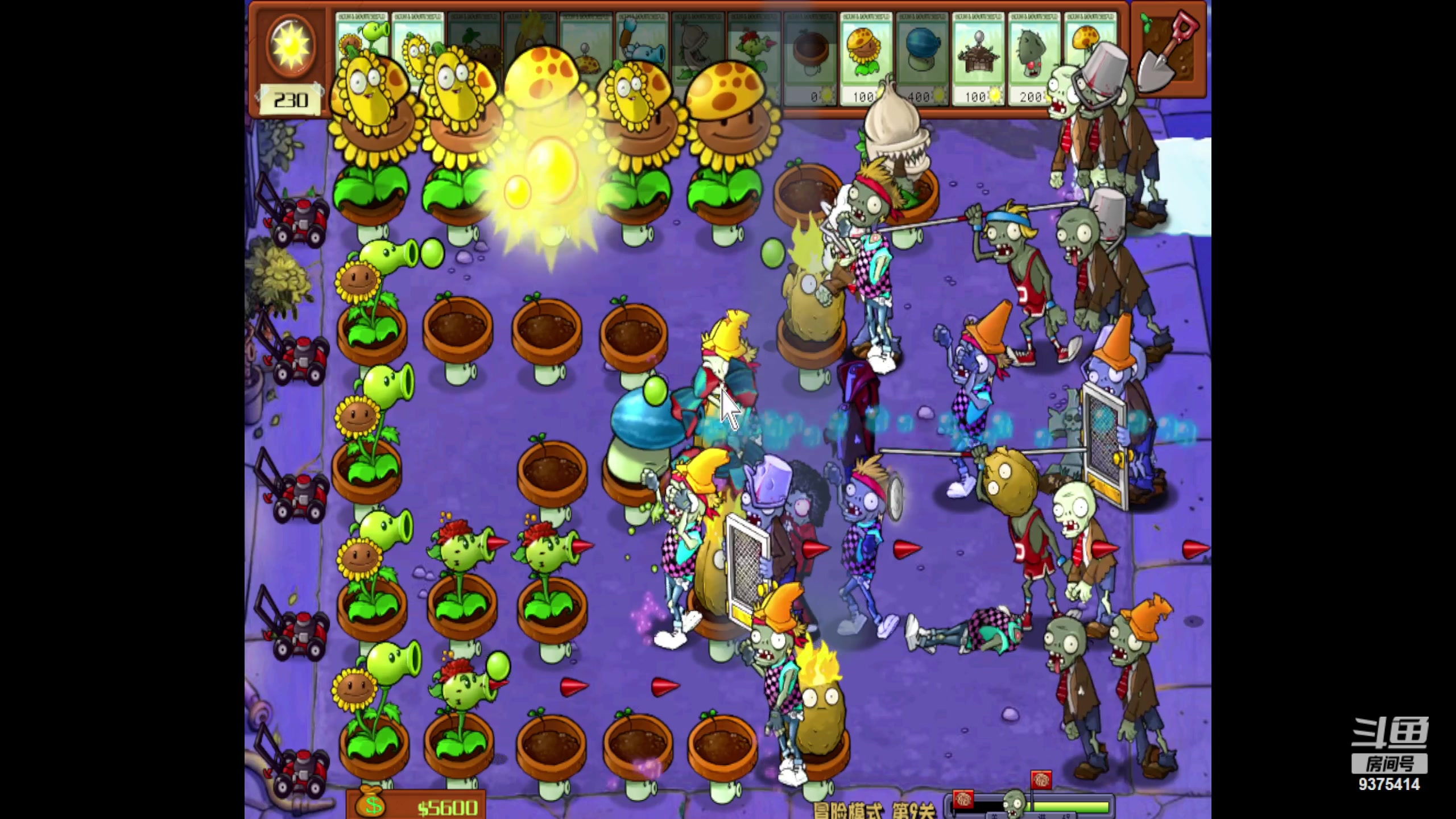 【2024-05-06 16点场】昧昧不是妹妹：一个倒霉的蛋