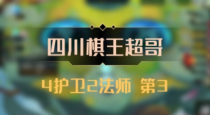 【四川棋王超哥】4护卫2法师 第3