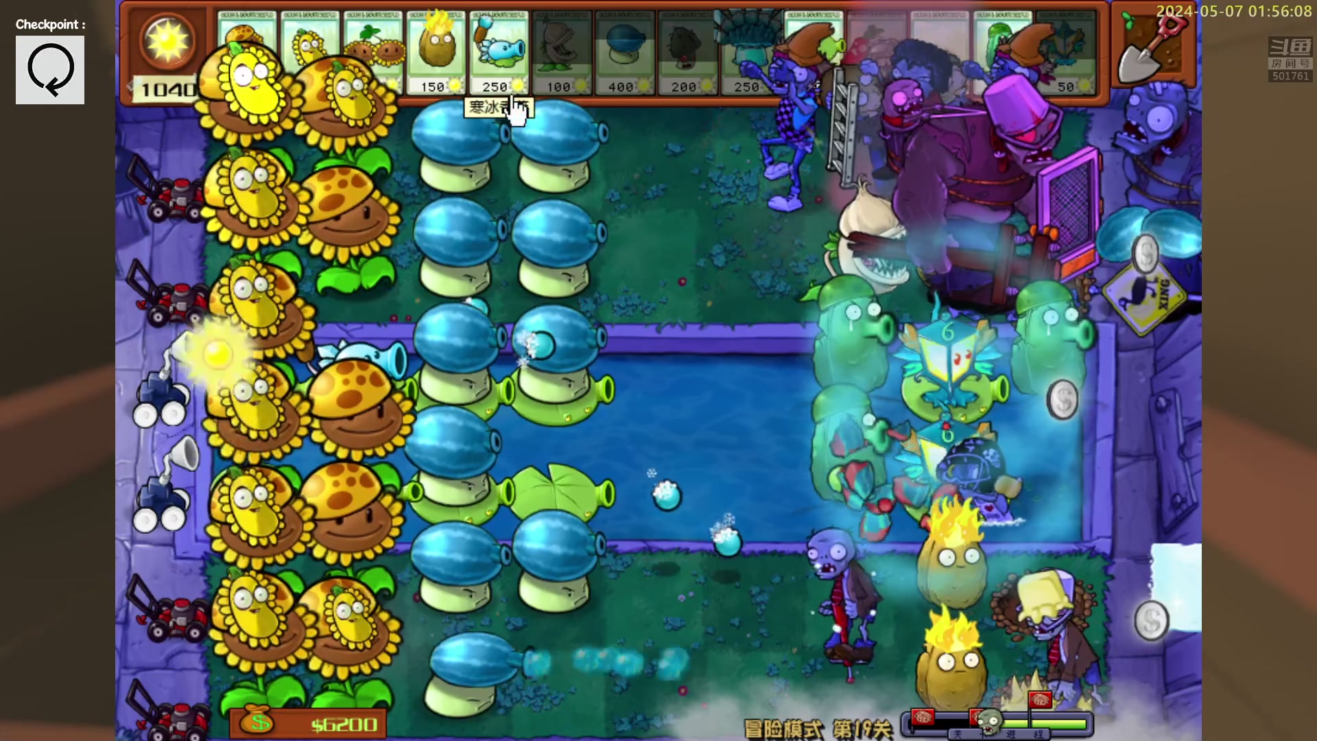 【2024-05-07 01点场】白白的胖胖呀：⭐️加油！冲鸭⭐️