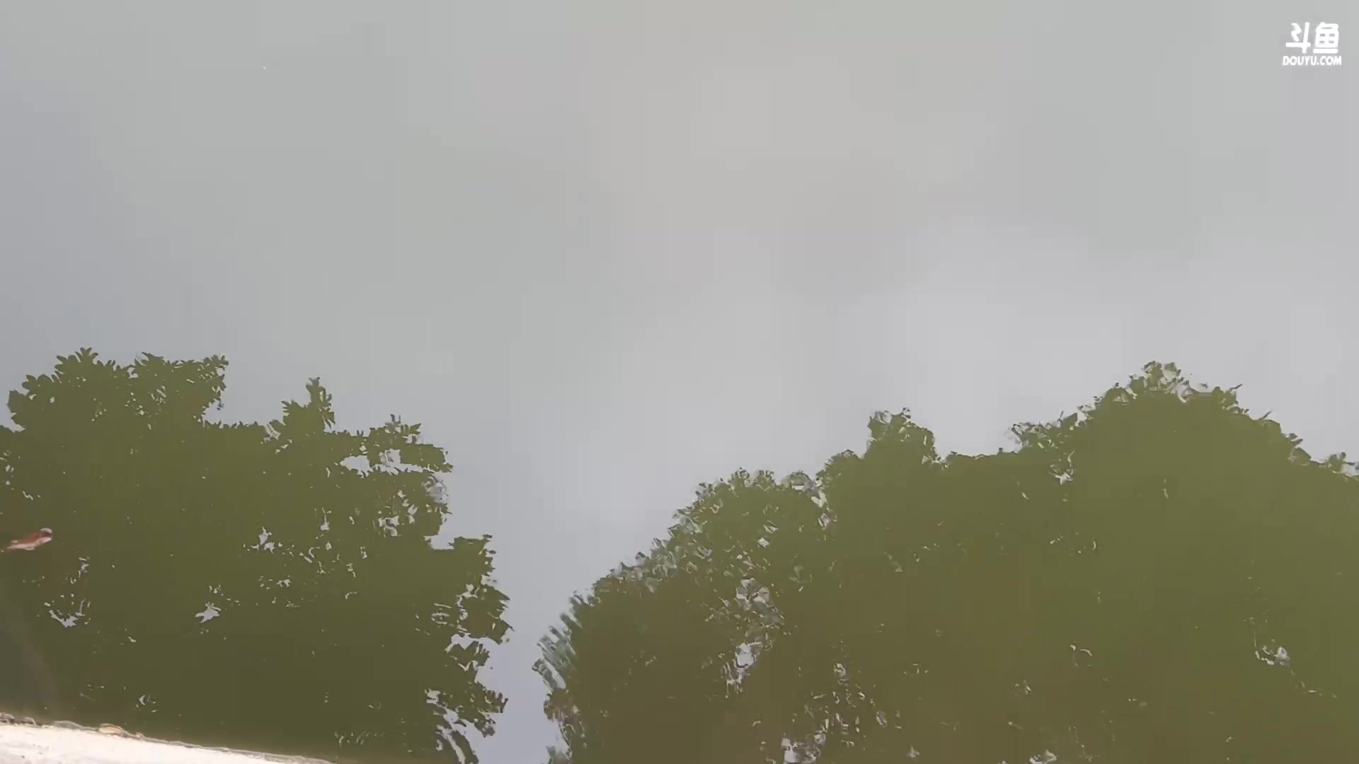 【2024-05-07 15点场】白菇凉：阿白白：好强的一上单