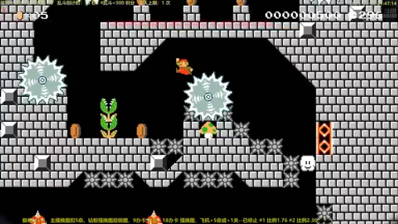 【2024-05-06 21点场】白白的胖胖呀：⭐️加油！冲鸭⭐️