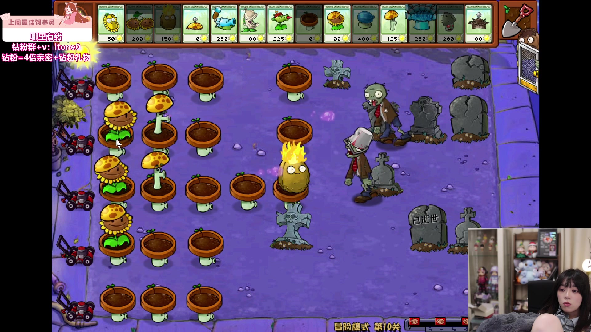 【2024-05-07 00点场】童猪啊i：钻石双倍）晚上好