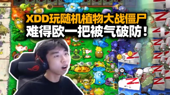 XDD玩植物大战僵尸杂交版 非酋汗流浃背艰难运营 被僵尸一波钢铁洪流破防下播？