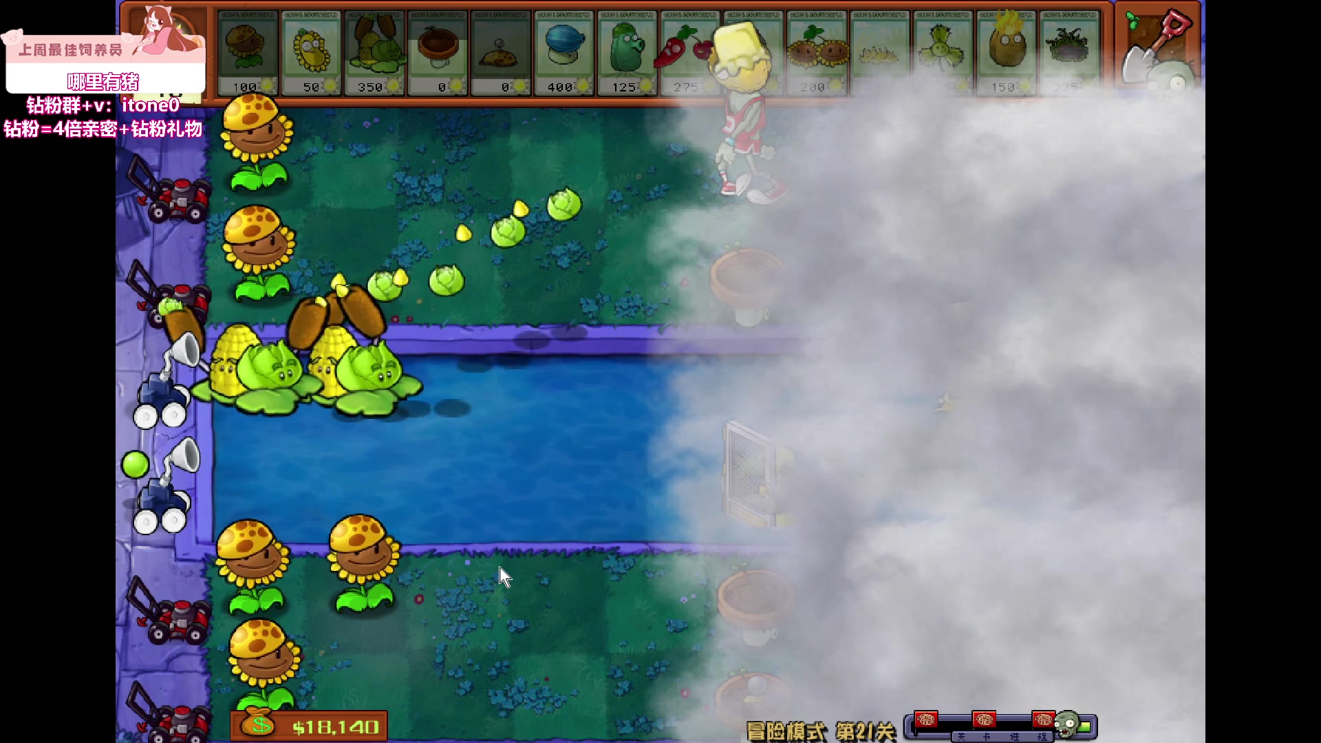 【2024-05-07 04点场】童猪啊i：钻石双倍）晚上好