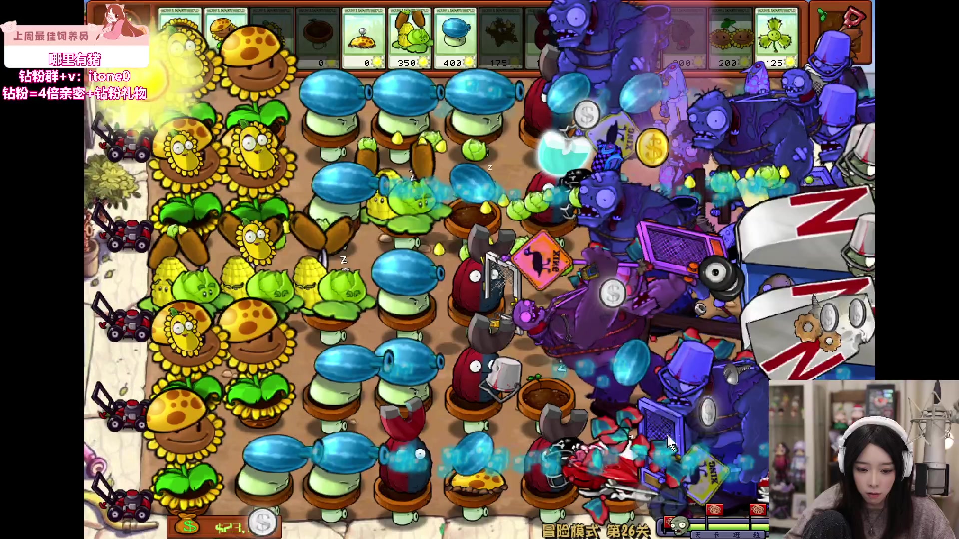 【2024-05-07 23点场】童猪啊i：双倍亲密度）PVZ！