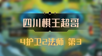 【四川棋王超哥】4护卫2法师 第3