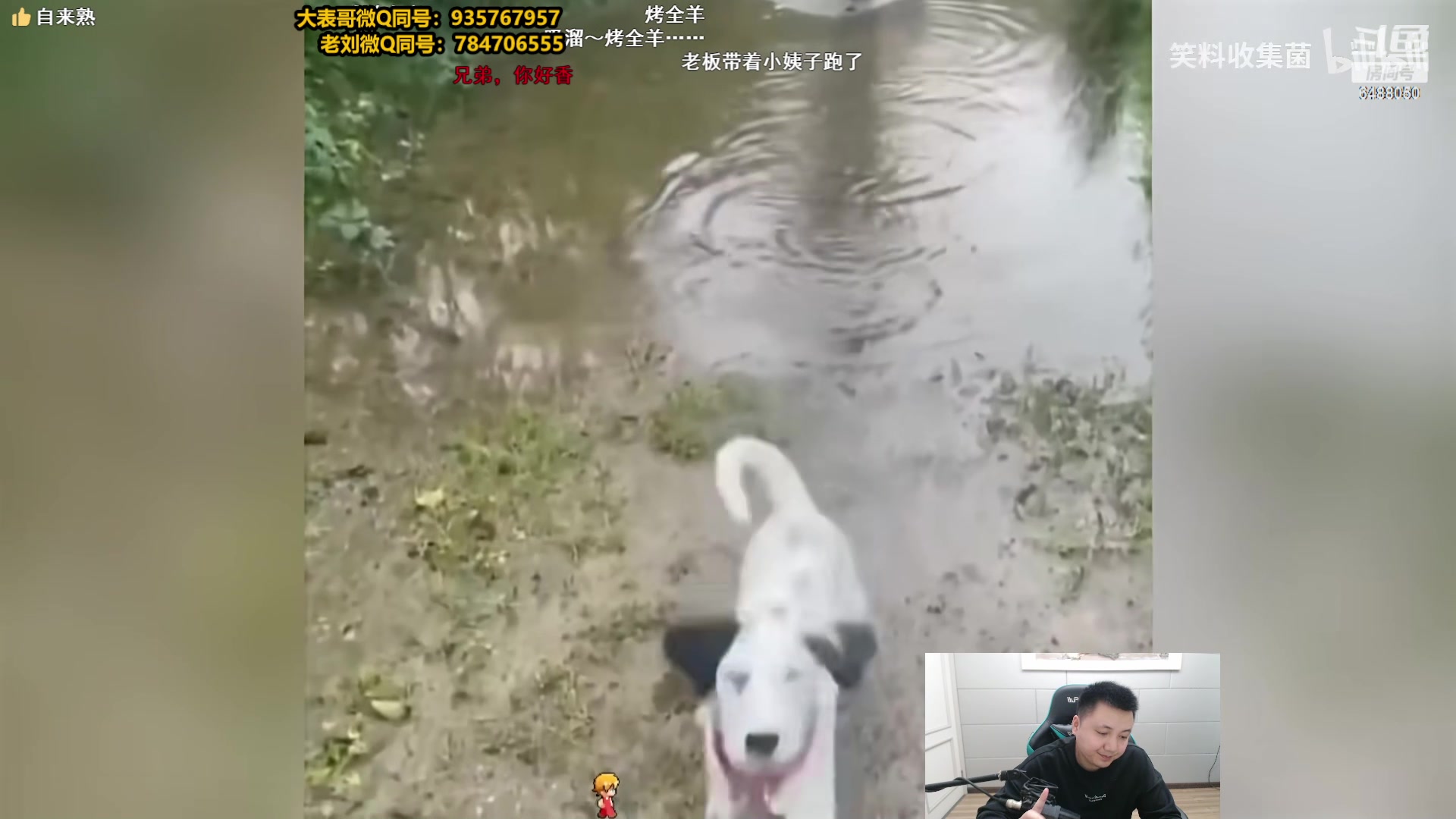 【2024-05-08 17点场】旋转的老刘诺手：破舰者诺手之神  掌控上单！