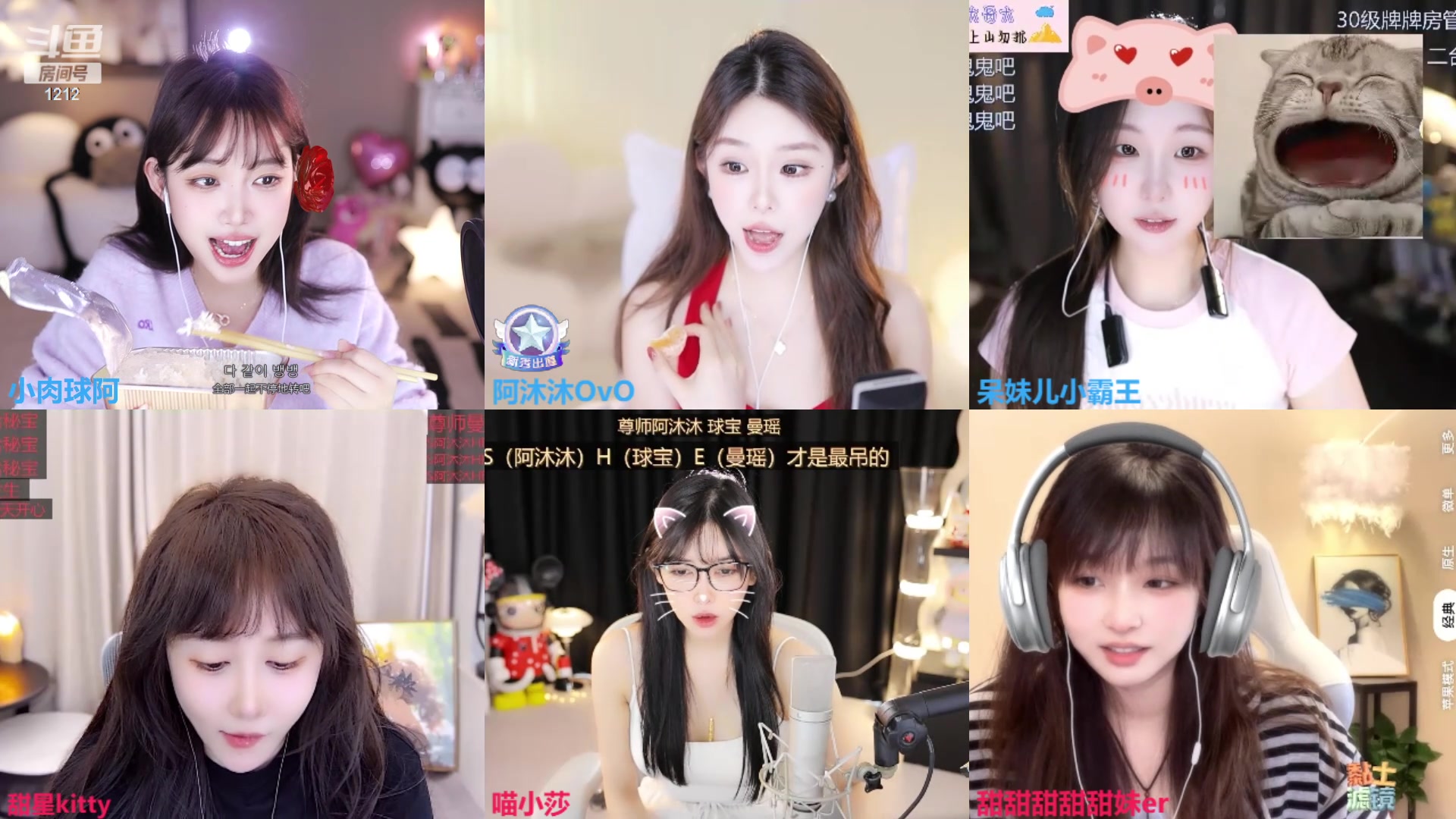 【2024-05-09 13点场】小肉球阿：尊师喵小莎，甜星，紫薇~