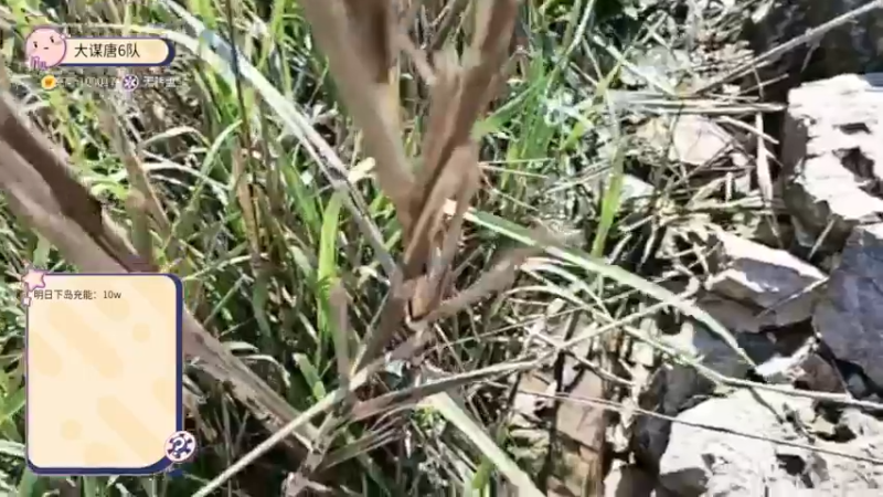 【2024-5-10 15点场】唐6儿:【小奶团】之向往的生活-上岛第一天