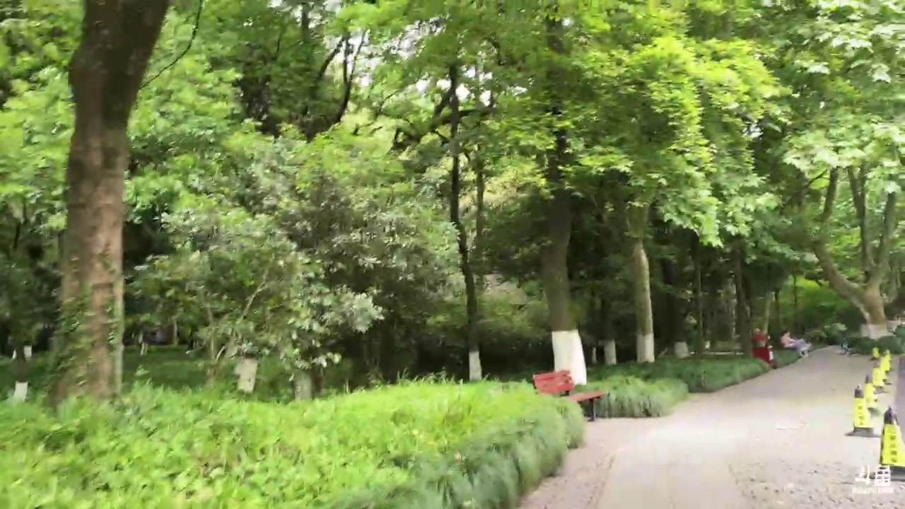 【2024-05-10 14点场】童猪啊i：钻石双倍，环西湖徒步