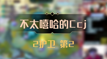 【不太嘻哈的Ccj】2护卫 第2
